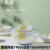 Jingdezhen Ceramic Tableware Parts Ceramic Bowl Ceramic Plate Handle Plate Length Square Plate Binaural Disc