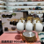 Jingdezhen 6 Cups 6 Plates Coffee Set Suit European Style Coffee Cup and Saucer Coffee Set Light Luxury Coffee Set Suit