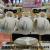 Jingdezhen 6 Cups 6 Plates Coffee Set Suit Kitchen Supplies Colored Glaze Coffee Set Gold Coffee Set