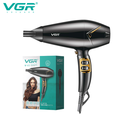 VGR New Cross-Border High-Power Hair Dryer Household Anion Hair Care Barber Shop Hair Stylist Hair DryerV-423
