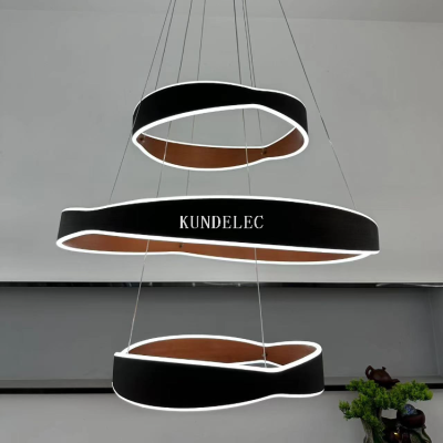 773 Modern Simple Chandelier Acrylic Chandelier Post-Modern Lamps