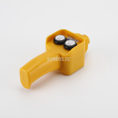 KEJA1-62DR Series Rainproof Crane Button Driving Switch