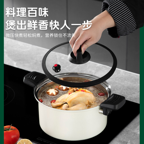 【高端礼品】微压锅不锈钢双耳微压家用料理锅多功能快焖煮焖烧锅