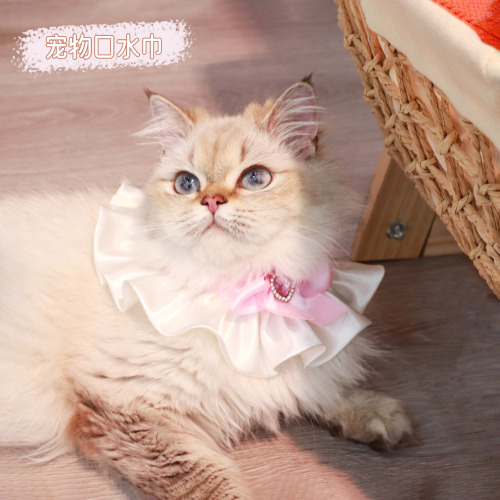 宠物口水巾蝴蝶结猫咪围脖蕾丝蝴蝶结款小猫口水巾项圈宠物围巾