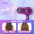 DSP Hair Dryer High-Power Wind Hair Stylist Student Quick-Drying Industrial Dedicated Hair Dryer 30249