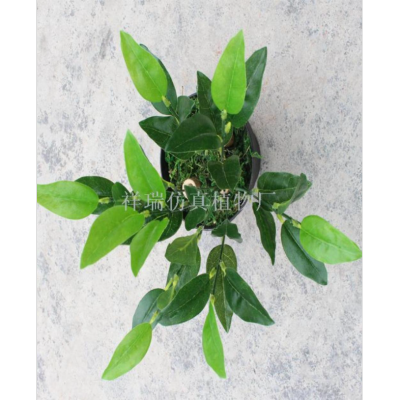 Simulation plant lavender olive leaf green planted olive fruit tree tree potted floor bonsai table pendulum decoration