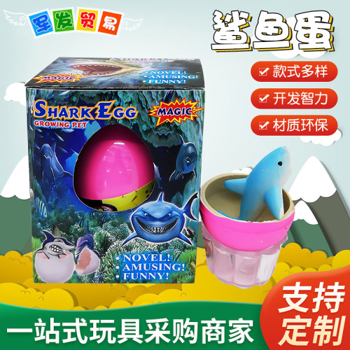 创意玩具鲨鱼蛋批发 孵化鲨鱼蛋泡水变大膨胀复活蛋儿童益智玩具