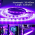 Led Purple Light Uv Soft Patch Light Strip Indoor Background Line Light Ktv Hotel Low Voltage 12V Light Strip