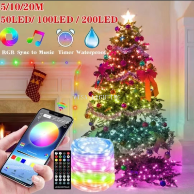 Led Magic Color Lighting Chain Waterproof Rgb Rubber-Covered Wire Light Christmas Festival Ambience Light Bluetooth App
