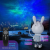 Astronaut Rabbit Starry Sky Projection Lamp Creative Starry Desktop Spaceman Nebula Atmosphere Small Night Lamp