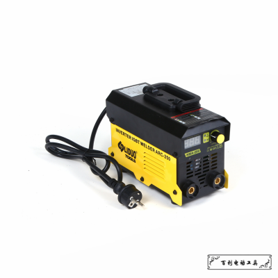 Household 220V Copper Texture Inverter DC Mini Small Industrial Grade Two-Phase Electric Welding Machine Factory Spot Direct Sales