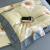 2024 Machine Washable Summer Quilt Four-Piece Ice Silk Summer Blanket Airable Cover Silky Sleep Naked Washed Tencel Quilt