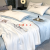 2024 Airable Cover Summer Quilt Ice Silk Machine Washable Light Luxury Household Double Thin Summer Blanket Four-Piece Set Air-Conditioning Quilt