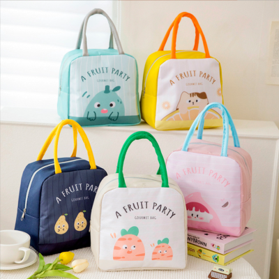 Insulated Bag Lunch Bag Lunch Bag Picnic Bag Thermal Bag Ice Pack Lunch Bag Beach Bag Outdoor Bag