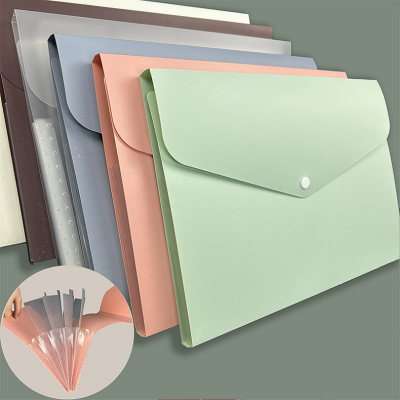 File Holder Folder Folder File Bag Information Bag Data Packet File Bag 5 Grid Examination Paper Bag