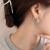 Simple Temperamental All-Match Irregular Geometric Ear Clip Women's Light Luxury Minority All-Match High-Grade Ear Studs Frosty Style Earrings