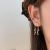Long Fringe Earrings Golden Eardrops Light Luxury French Style Temperament Niche Design Premium Unique Earrings Ear Studs Female