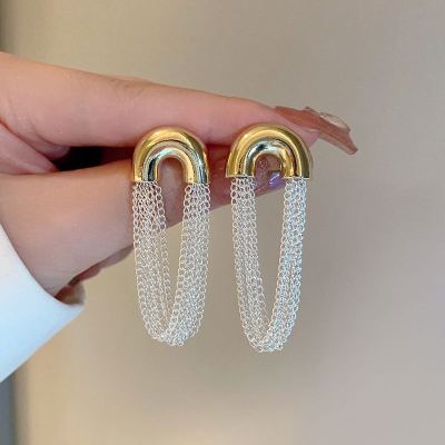 Sterling Silver Needle South Korea Simple Niche Chain Tassel Earrings Female Affordable Luxury Fashion Elegant All-Match Earrings Earrings