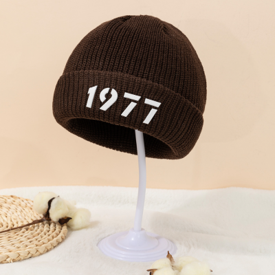 2023 New 1977 Adhesive Knitted Hat Korean Autumn and Winter New Windproof Warm Wool Hat