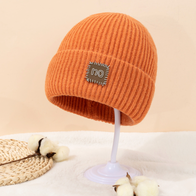 2023 New Knitted Pure Color Minimal Versatile Labeling Autumn and Winter Warm Wind-Proof Cap