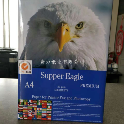 Factory Supply 80G 500 Sheets Per Pack Manufacturer A4 Printing Paper Double-Sided Printing A4 Copy Paper A4 Copy Paper