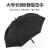 [Factory Direct Sales] Large Double-Layer Long Handle Umbrella Custom Logo Advertising Umbrella Custom Gift Printing Pattern
