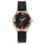 New Belt High-End Fashion Diamond Women's Watch Simple Fashion Trend Quartz Women's Watch Wholesale Student's Watch