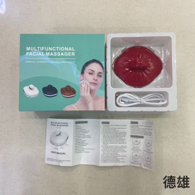 Multifunctional Face Inductive Therapeutical Instrument