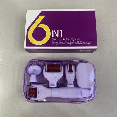 Six-in-One Roller Micro Needle Facial Care Beauty Kit 6-in-1 Micro Needle Roller