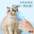 Cat Float Hair Cleaning Pet Comb Cleaning and Removing Hair Comb Cat Comb Float Hair Cleaning Dog Comb Brush