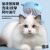 Cat Float Hair Cleaning Pet Comb Cleaning and Removing Hair Comb Cat Comb Float Hair Cleaning Dog Comb Brush