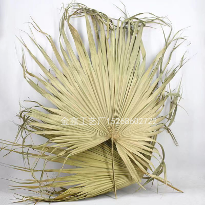  Dry cattail leaf, dry palm leaf, dry cattail leaf, sunflower leaf, banana leaf, dry leaf material, wedding decoration