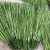 55CM Artificial Tropical Plants Green Onion Grass Bundle Plastic Flower Arrangement Garden Wedding Living Home Dec