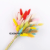 60pcs Real Natural Floral Dried Flower Bunny Rabbit Tail Grass Mixed Bouquet Colorful Lagurus Ovatus for Photo Props De