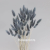 60pcs Real Natural Floral Dried Flower Bunny Rabbit Tail Grass Mixed Bouquet Colorful Lagurus Ovatus for Photo Props De