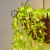 180 LED USB Garland Willow Vines String Lights Battery Artificial Ivy Led Curtain Fairy lights For Wall Party Garden Dec