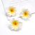 Plumeria Flower Hair Clips For Women Girls Hairpins Egg Flower Barrette Hawaiian Wedding Party Bag Hat Accessories