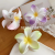 Flower Hair Clip Hawaiian Plumeria Beach Flowers Claw Clips Barrettes Accessories Barrette Colorful Barrettes Hair Acces