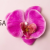 chid Hair Clip For Woman Artificial Flower Hairpin Wedding Party Hair Accessories 8.5cm Gifts