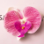chid Hair Clip For Woman Artificial Flower Hairpin Wedding Party Hair Accessories 8.5cm Gifts