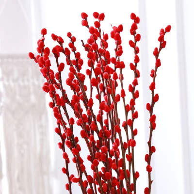 100Branches Dry Red and White Silver Willow Real Natural Dried Flowers for Arrangement Home Party Office Indoor Hotel Sh