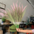 80cm Reed Grass Simulation Flower Dog's Tail Grass Living Room Decoration Dried Flowers Fake Reed Bouquet