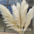 High Quality Large Natural Dried Pampas Grass Artificial Flowers Fluffy Tall Pampas Decor Anniversaire Boho Wedding Tabl
