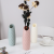 European-Style Simple Plastic Imitation Porcelain Color Hydroponic Craft Dried Flower Living Room Decoration Vase Manufacturer New Product 0755-4