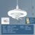 Screw High-Power Super Bright LED Power Saving 360 Degrees Rotating Mute Fan Bulb Remote Control Dimming Shaking Head Ceiling Fan Lights