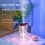 Multi-Functional Desktop USB Atomizing Humidifier Home with Bright Small Night Lamp Can Flower Arrangement
