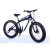 Power Bicycle 26-Inch Electric Bicycle Lithium Aluminum Alloy Wide Tire Mountain Bike Snowmobile