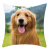Cross-Border New Arrival Animal Grass Big Head Dog Rest Pattern Series Pillow Cover Cushion Cover Short Plush Printing