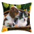 Exclusive for Cross-Border Cute Pet Dog Graphic Customization Short Plush Pillow Cover Customized Amazon Hot Home Fabric