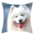 Internet Celebrity Samoyed and Surrounding Grass Deciduous Background Home Pillow Cover Living Room Sofa Square Pillow Wholesale